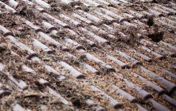 Duxford roof cleaning companies